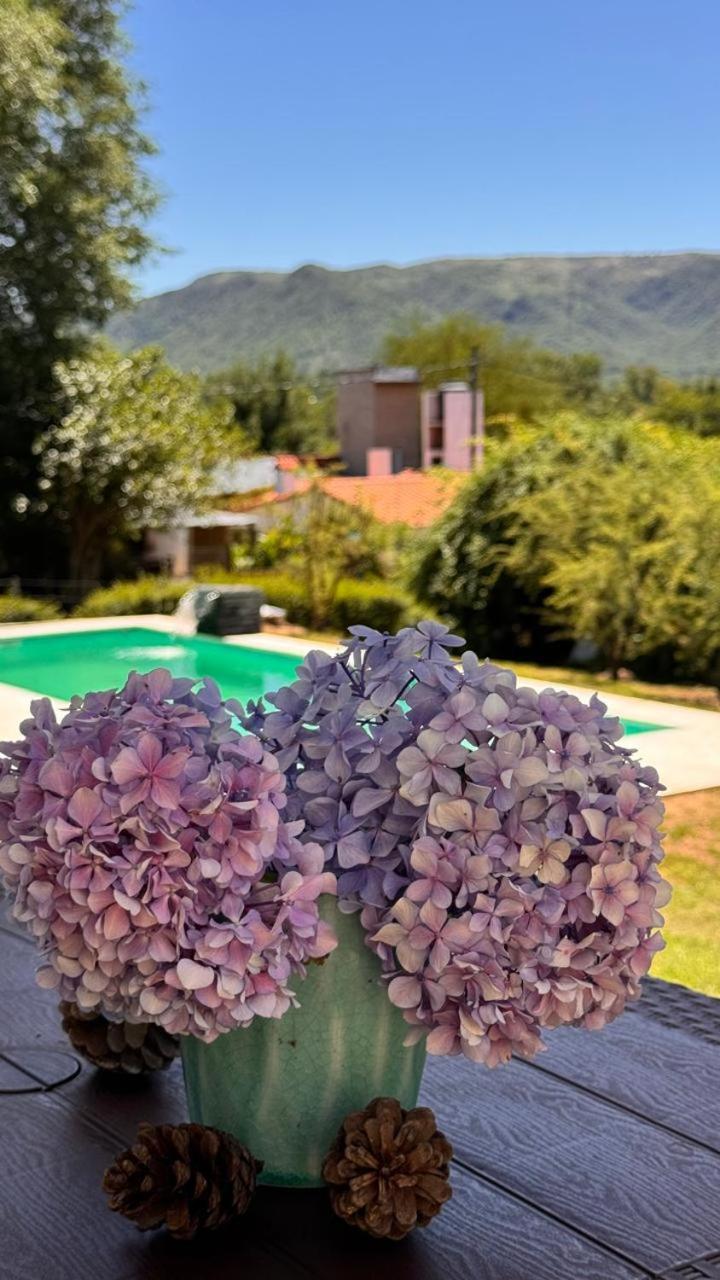 La Jacinta Posada Suites Santa Rosa de Calamuchita Eksteriør billede
