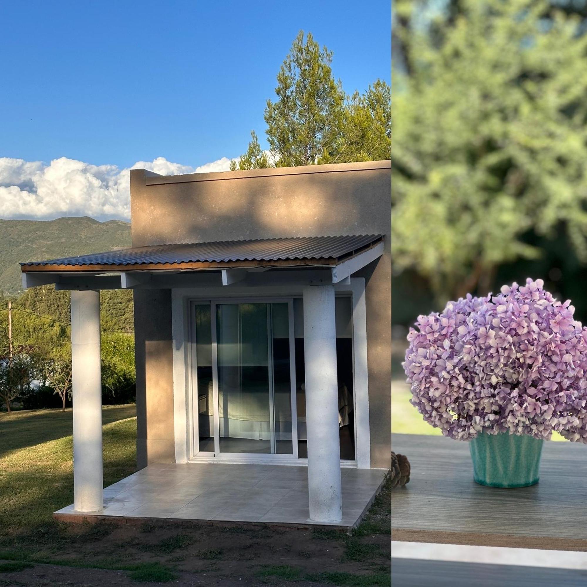 La Jacinta Posada Suites Santa Rosa de Calamuchita Eksteriør billede