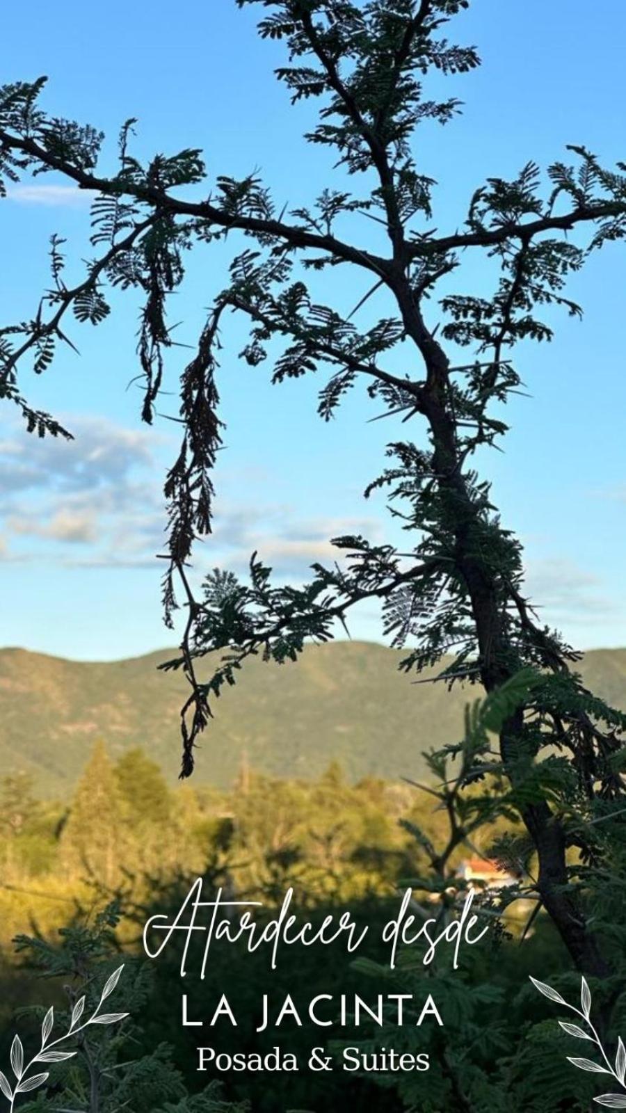 La Jacinta Posada Suites Santa Rosa de Calamuchita Eksteriør billede